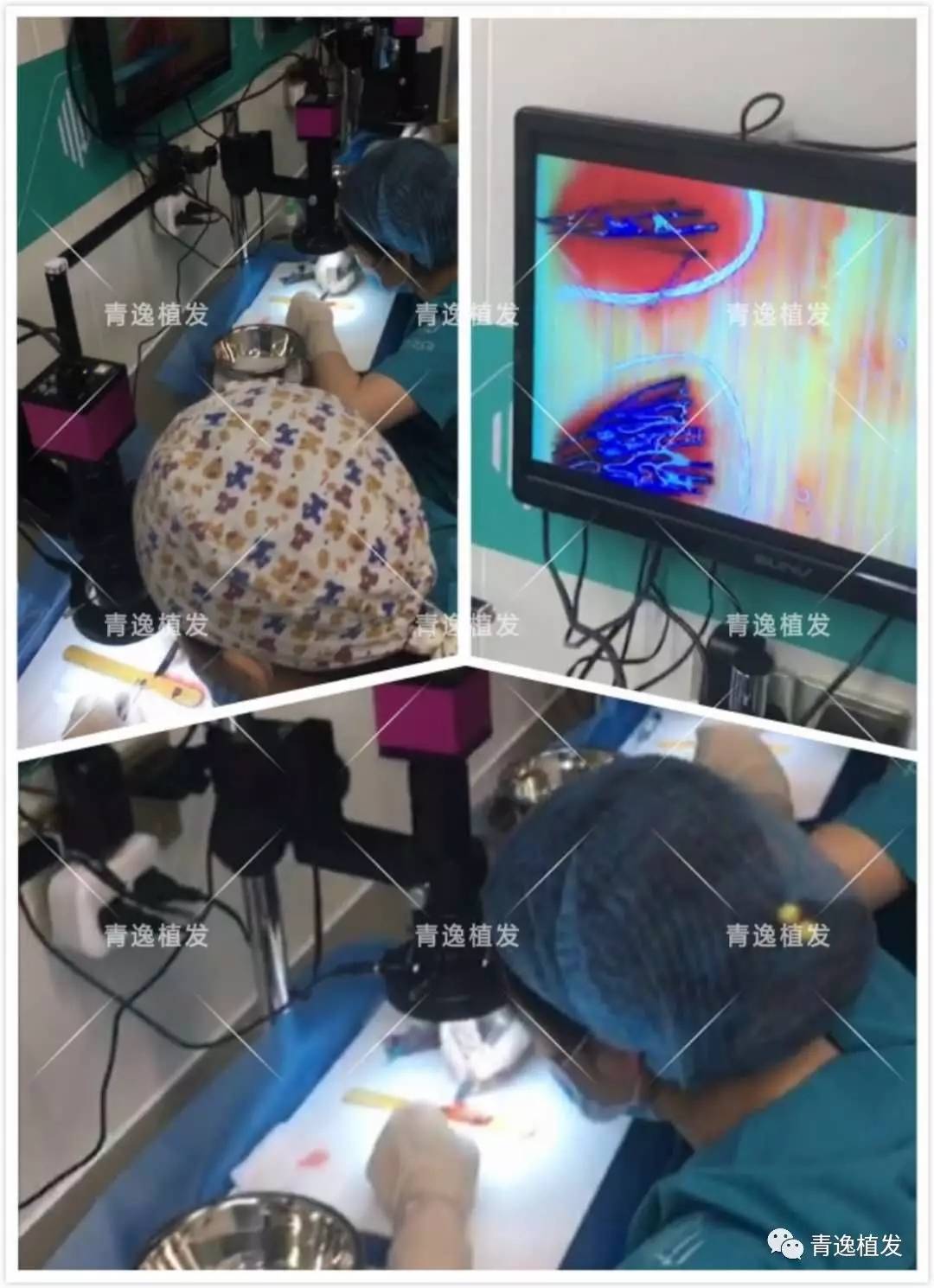 default/20190627/f9b636dd34d56db93d9b6e672777d84b.jpg