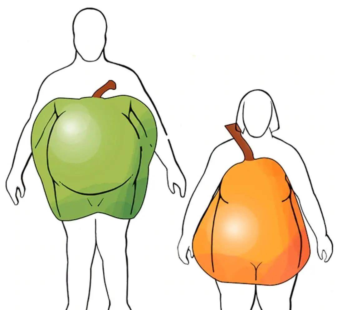 叶氏药业|为什么减肥越减越肥？真相在这，早知可避免肥胖“骗局”