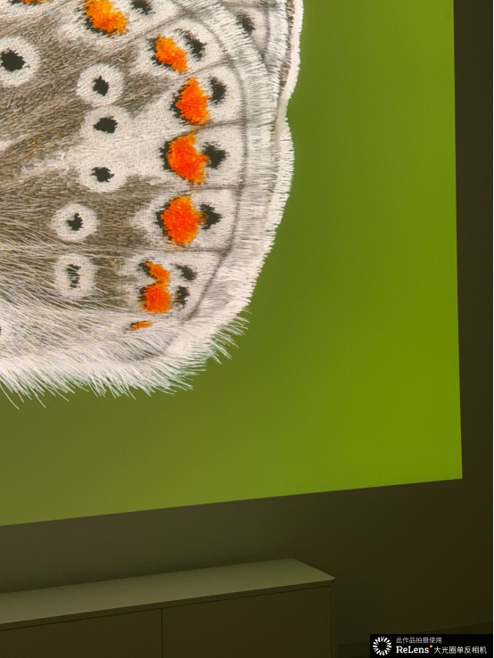 medias-uploads/ty-202503/050e67a07ac3f871c65236b0556d6ca2.png image.png