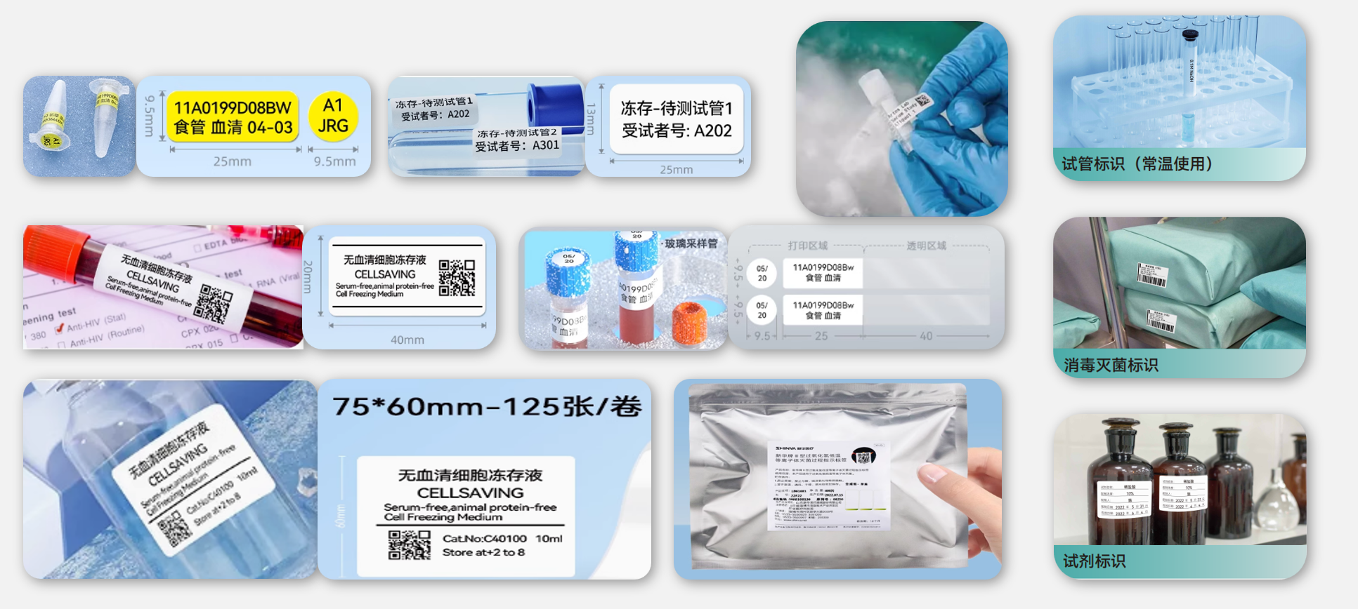 medias-uploads/ty-202503/0dcb20c6b1338c5cdd152484e9e06565.png