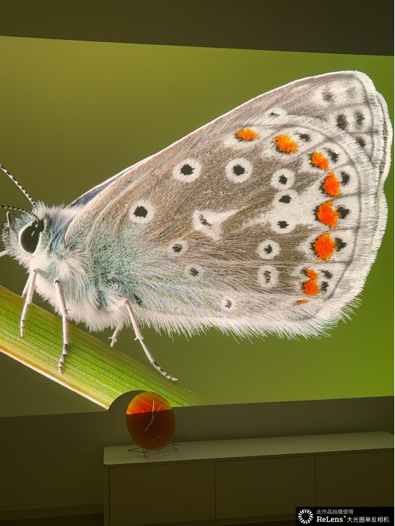 medias-uploads/ty-202503/337864bc9d0b1dcb0698fe2eb51d4dc5.png image.png