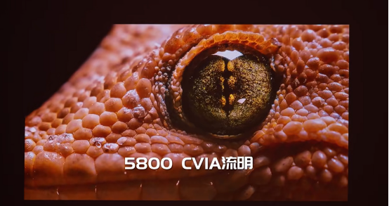 medias-uploads/ty-202503/373be1b40cf0c795262497789ce24296.png image.png