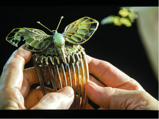 medias-uploads/ty-202503/50bb38fced7b75f1a4750c7e5802d10c.png image.png