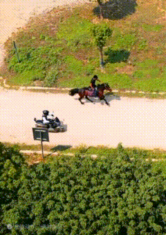 copy_15A3AD33-4770-4A20-B6B0-E92EF00A5551.GIF
