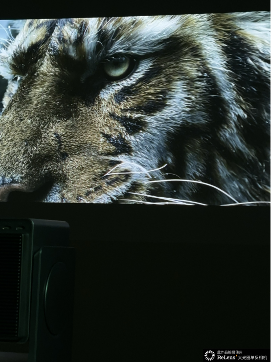 medias-uploads/ty-202503/bd16ef3017792ab6923721e8861d71d4.png image.png