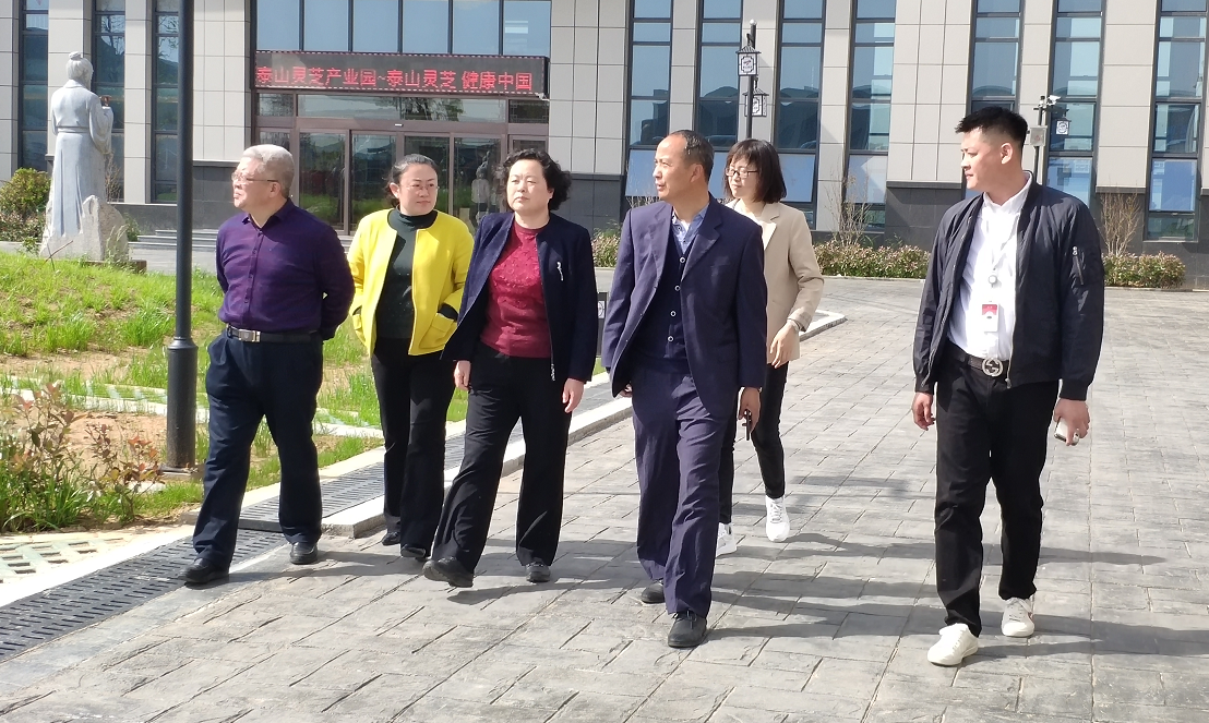 灵芝孢子粉品牌排行_浙江这家企业向世界品牌迈进!