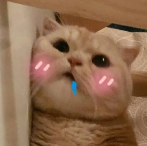 ѩ|Ǻò?Щ¶ϰһ!