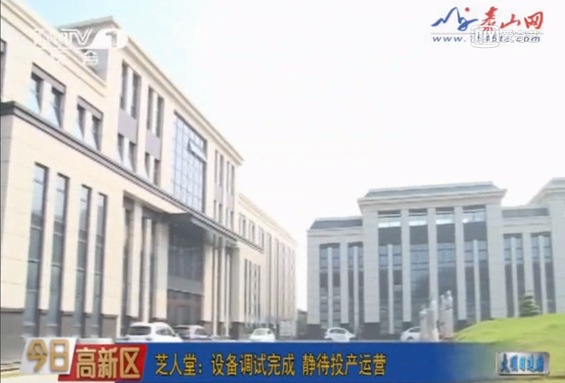 芝人堂产业园灵芝孢子油生产进度如何？跟随泰安市委书记一起参观视察