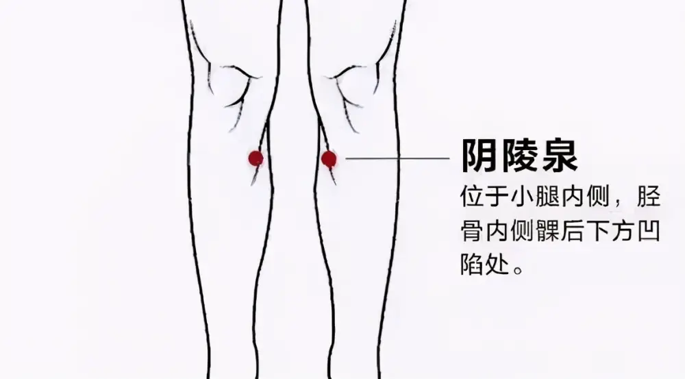 75|imageslim