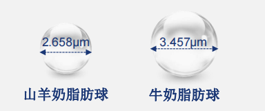 羊奶粉和牛奶粉到底哪个好？这篇营养攻略告诉你答案