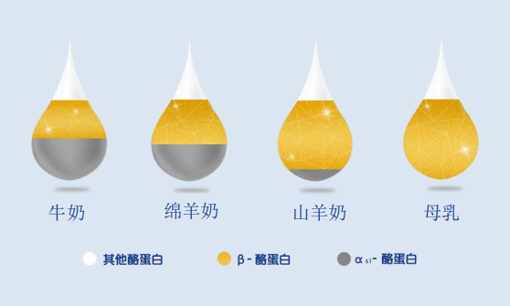 羊奶粉和牛奶粉到底哪个好？这篇营养攻略告诉你答案