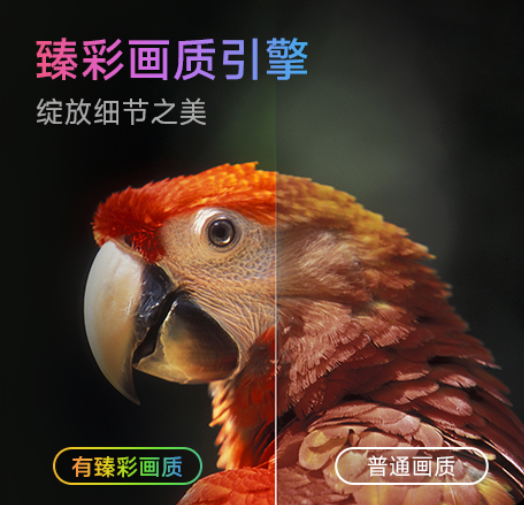 docx_3c6966cf92fc4f568c229afcf20e14c6_0.png