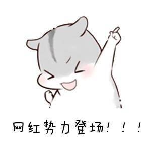 成都网红美食那么多，吃货就爱王妈手撕烤兔