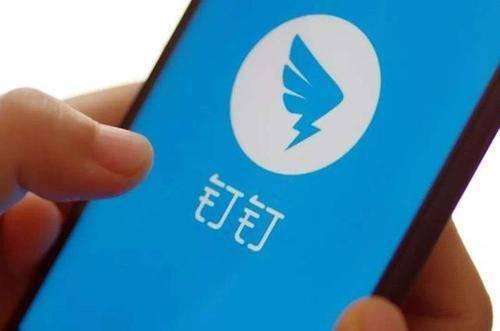 钉钉投屏码在哪里找